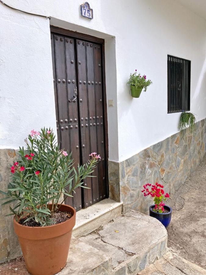 Casa Amigos Sorvilan- La Palmera Экстерьер фото